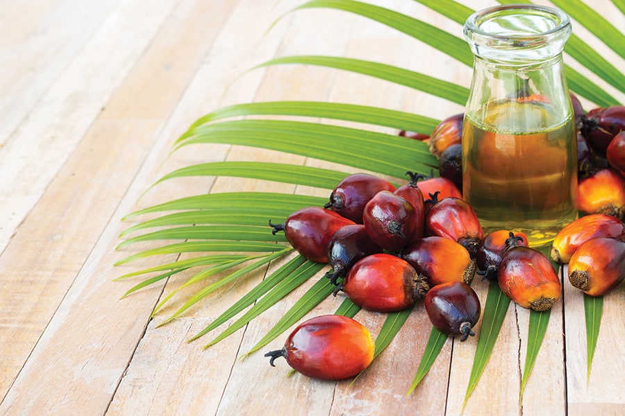 olej palmowy shutterstock 478816795